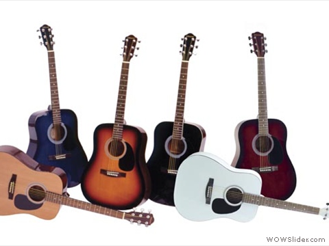 Acoustic Guitars