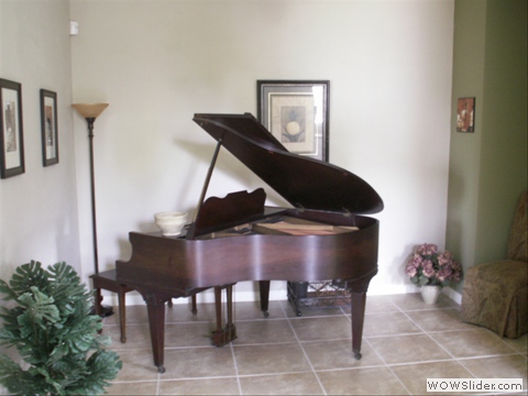 Living room piano